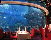 al_mahara_burj_al_arab
